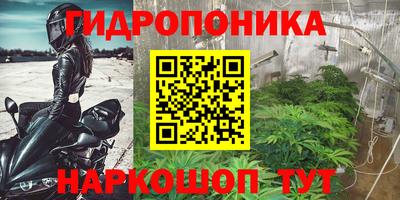 амф Будённовск