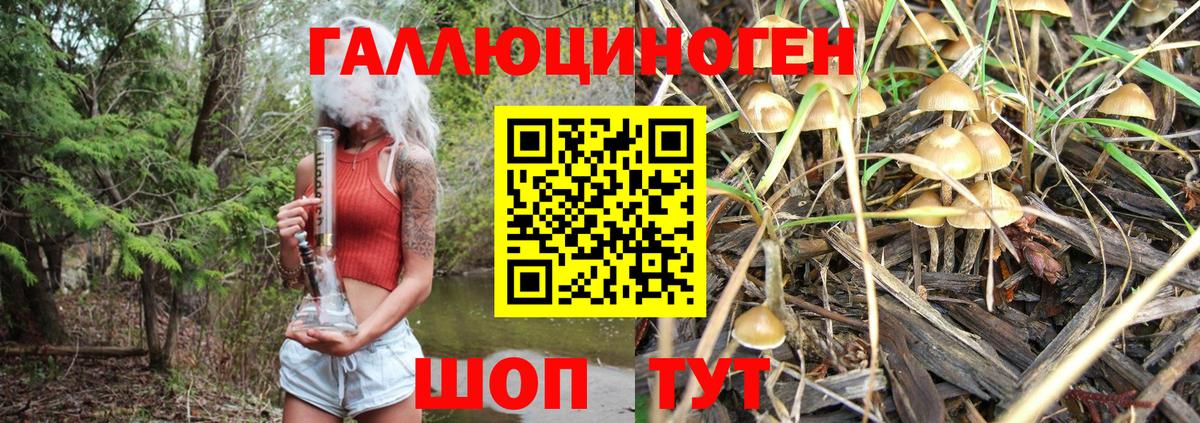 Псилоцибиновые грибы Magic Shrooms  Вход с VPN  Снежинск  Псилоцибиновые грибы прущие грибы 