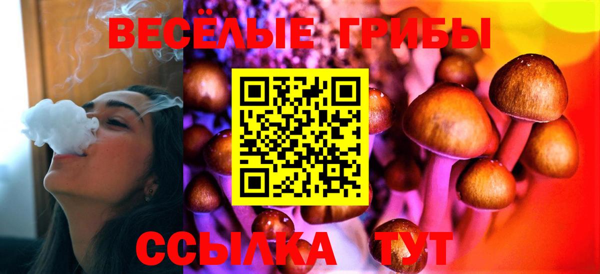 Галлюциногенные грибы Cubensis Снежинск